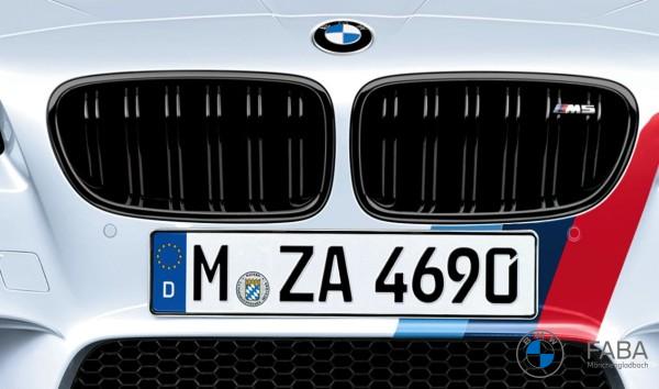 BMW M Performance Frontziergitter M5 F10 51712352807