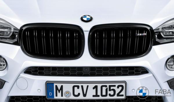 BMW M Performance Frontziergitter X5M F85 / X6M F86