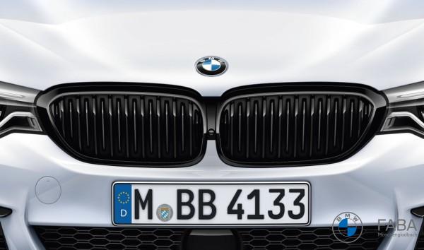 BMW M Performance Frontziergitter 5er G30 G31 Vorfacelift