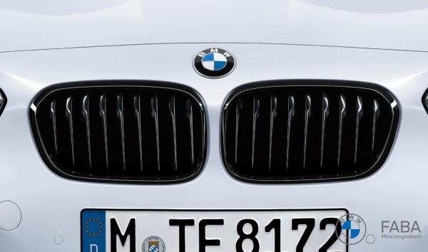 BMW M Performance Frontziergitter 1er Reihe F20 F21 links