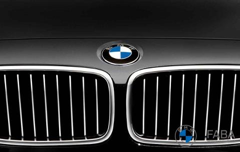 BMW Frontziergitter Luxury Line 3er Reihe F30 F31