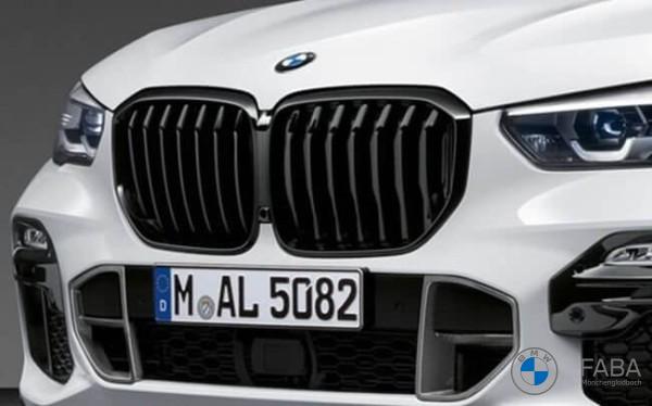 BMW M Performance Frontziergitter - X5 G05