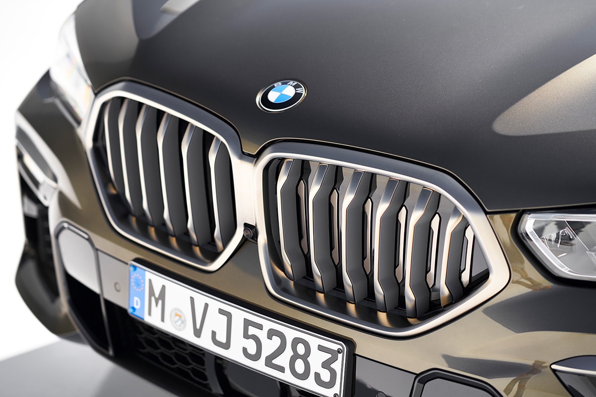 BMW X6 ab 2019 - Nieren